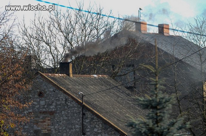 Państwu grozi lawina pozwów o smog