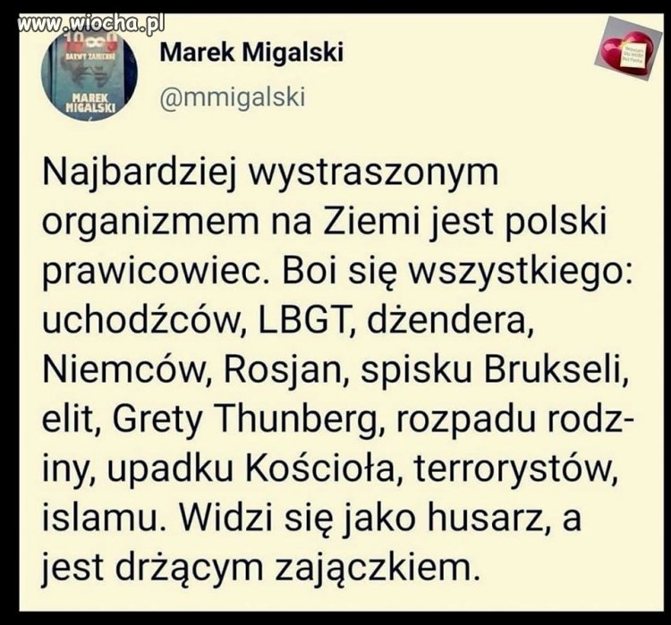 To ci dopiero kozaki