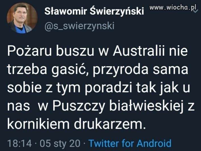 Tymczasem