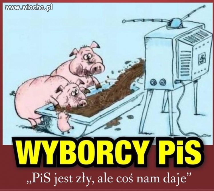Tymczasem