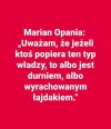 Albo jedno