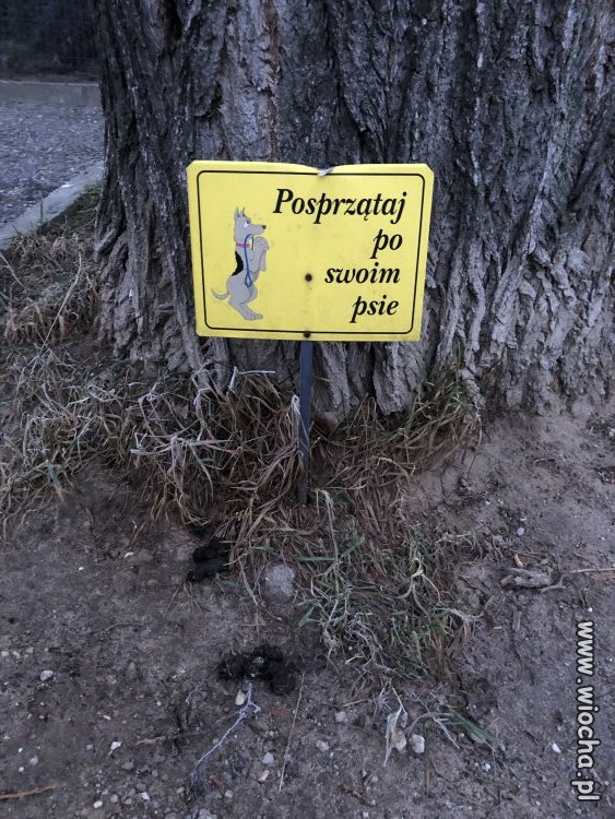 Proście