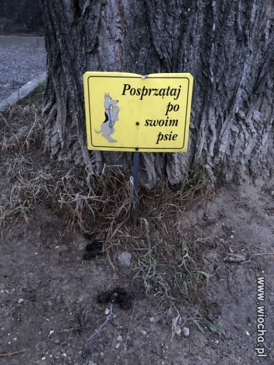 Proście