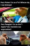 Pacz kurła