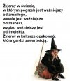 Tak to wygląda