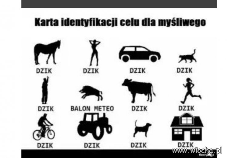 Bez komentarza...