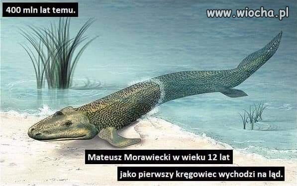 Mateuszek 