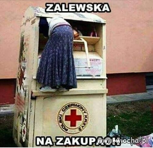 Zalewska na zakupach
