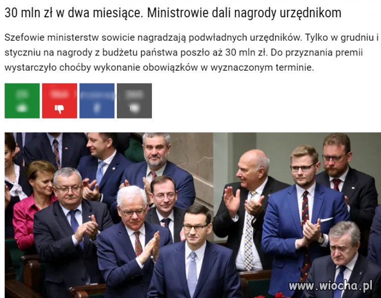 A ludziom ośmiorniczki za tysiaka przeszkadzały