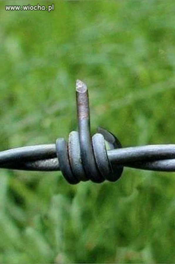Kiedy wokół wciąż mało fakjuków...
