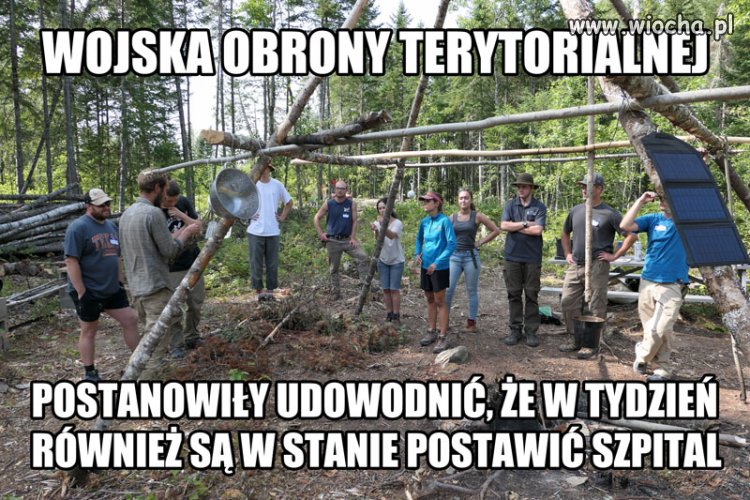 Wojska obrony terytorialnej