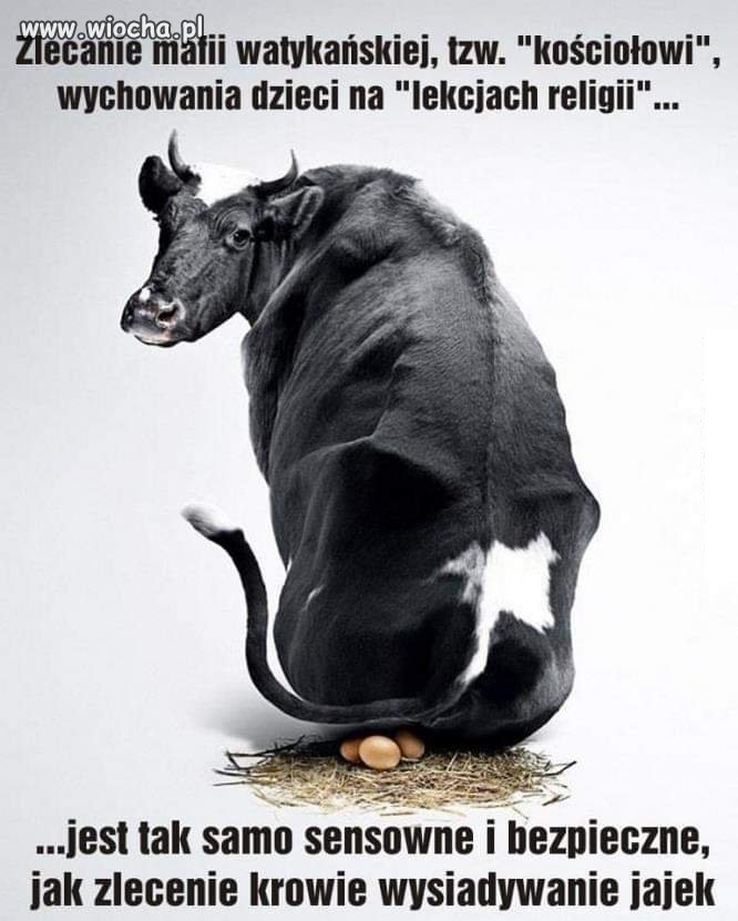 Rozsądek.