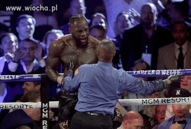 Wilder przegrał bo miał za ciężkie spodenki 