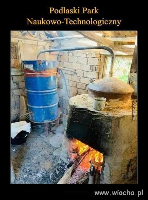 Tak jest