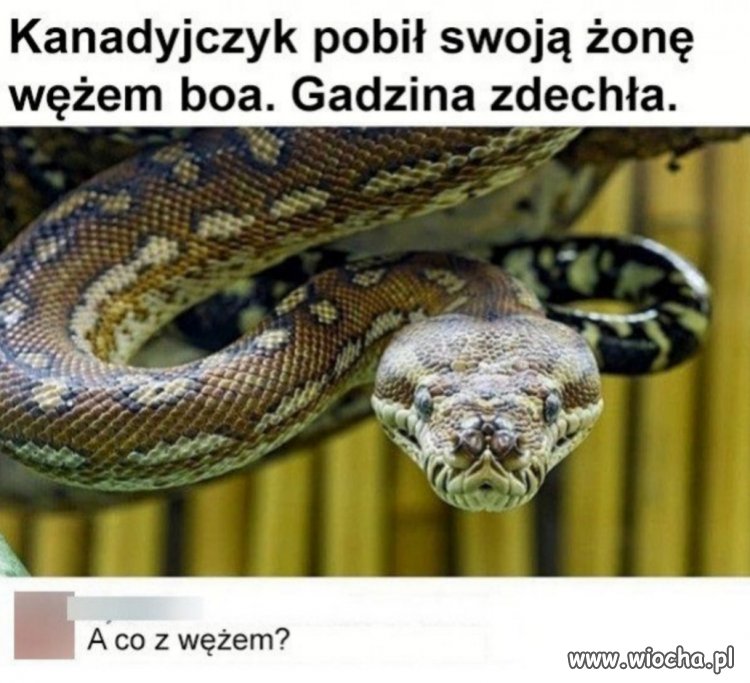 Dobre pytanie