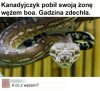 Dobre pytanie