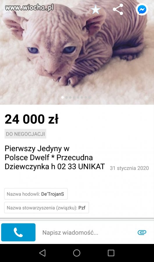 Może się nie znam, ale... 