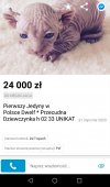 Może się nie znam, ale... 