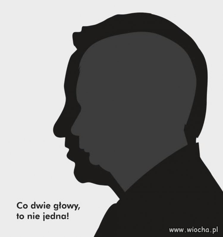 Co dwie głowy,