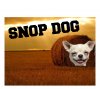 Snopdog