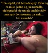 Opinia...