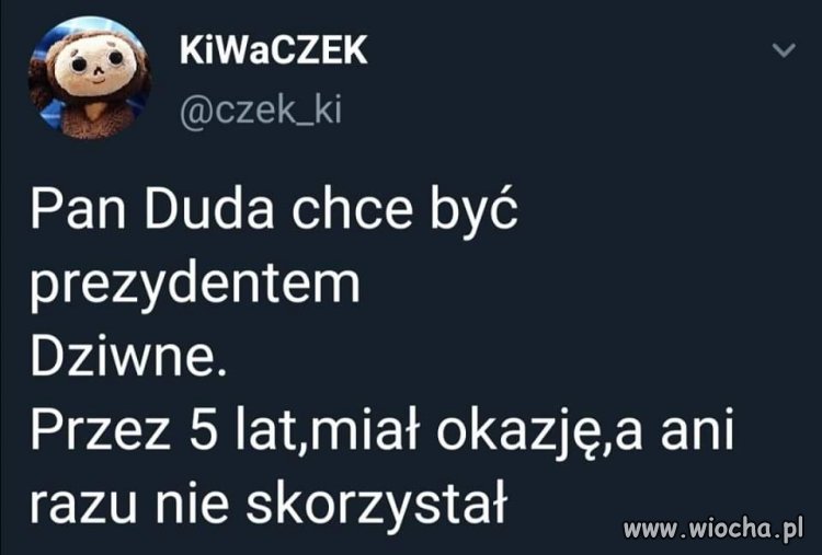 Gdyby ktoś miał wątpliwości 