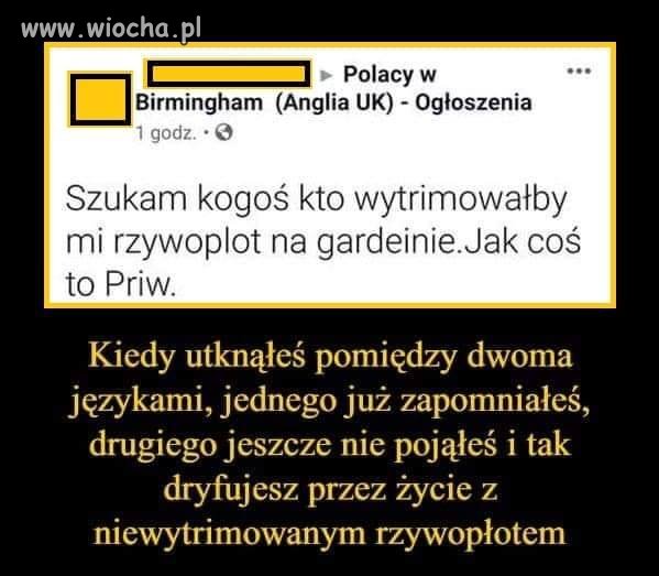 Mnie śmieszy.