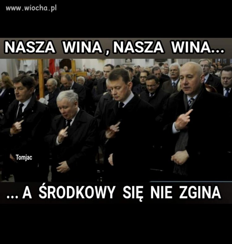 Kościół i pis