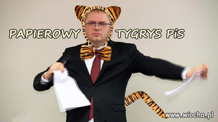 Papierowy tygrys...