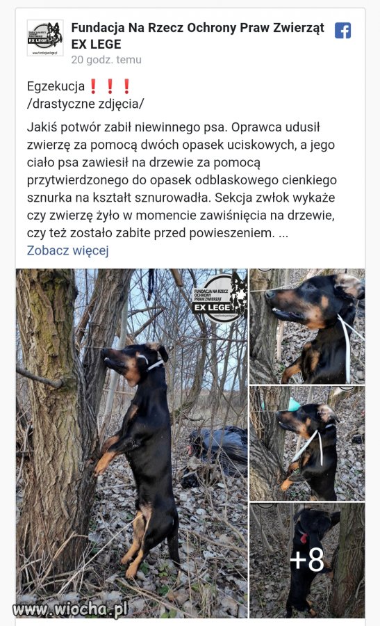 Oby karma