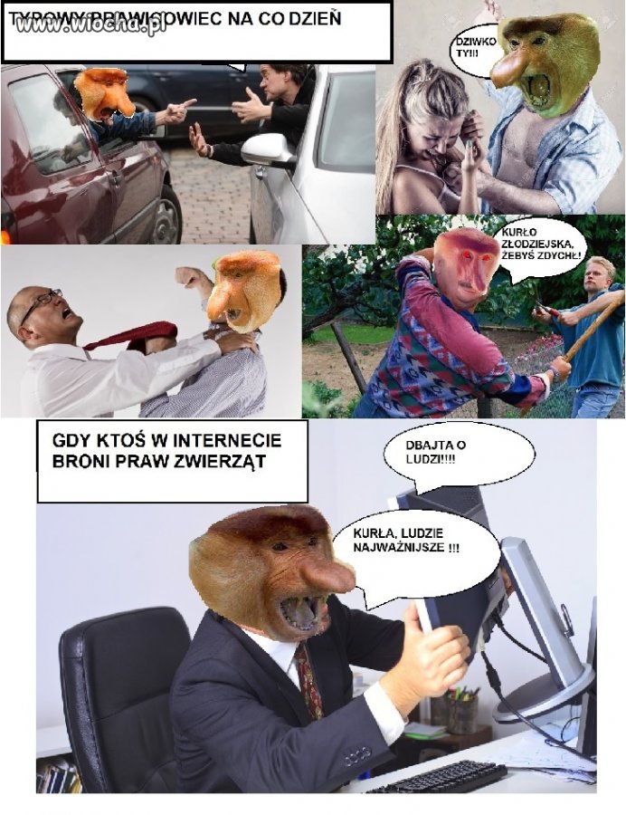 Zachowanie prawicowych oszołomów