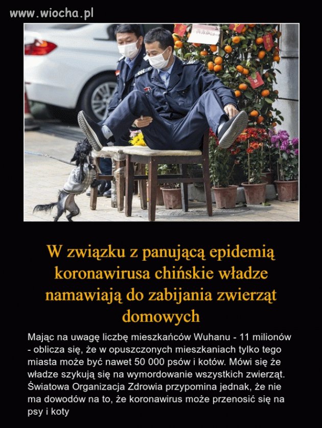 Walka z gównowirusem