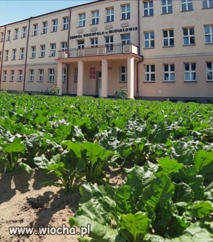 Zespół Discopolo w Michałowie