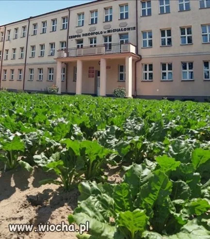 Zespół Discopolo w Michałowie