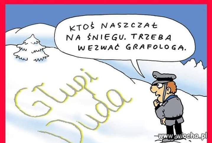 Tu grafolog