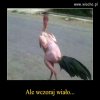 Jedna noc w burdelu.