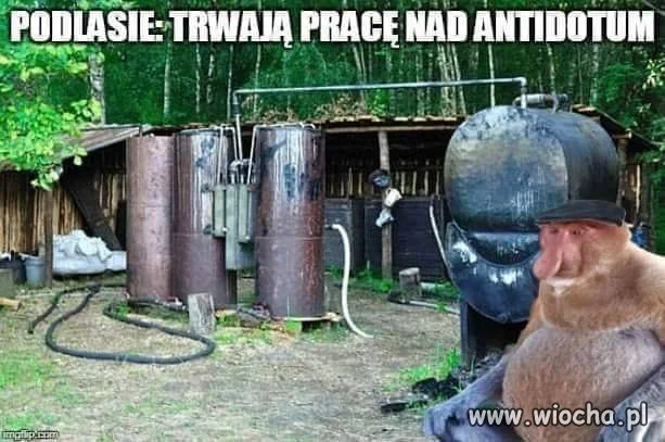 Antidotum na koronawirusa