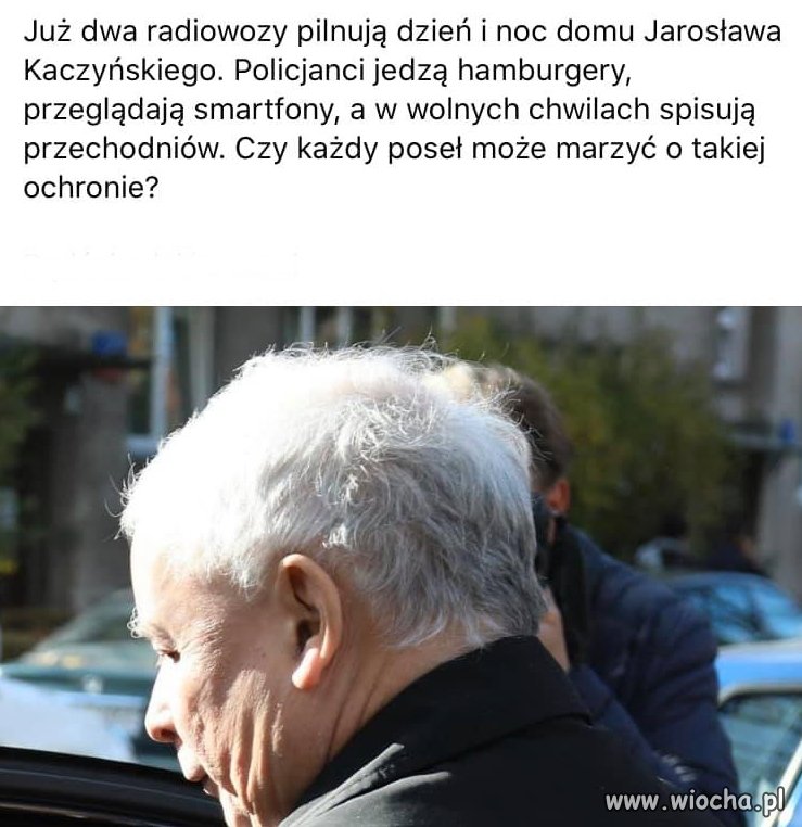 Zwykły
