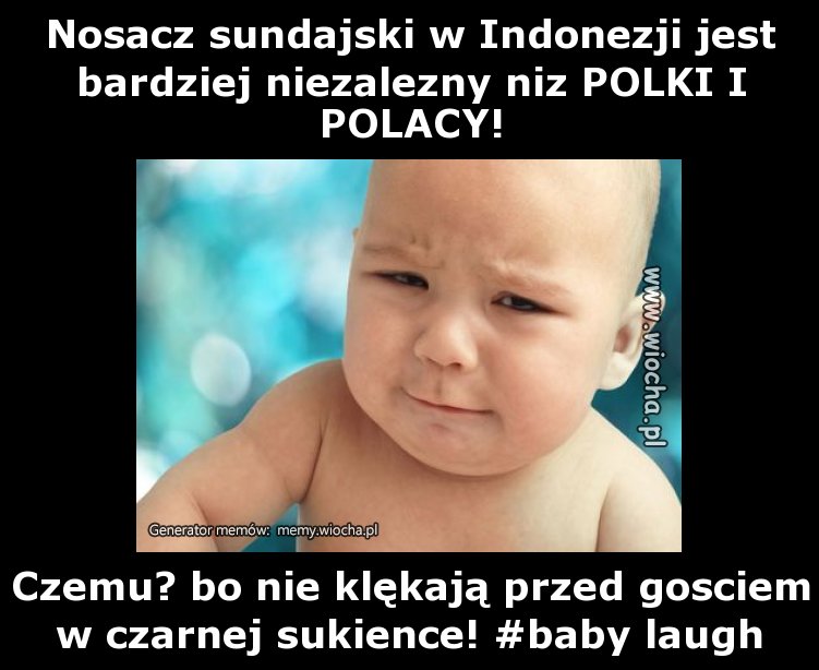 Nosacz sundajski w Indonezji jest bardziej