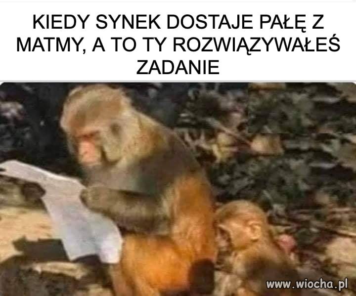 100 %