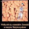 Wódka jest wege.