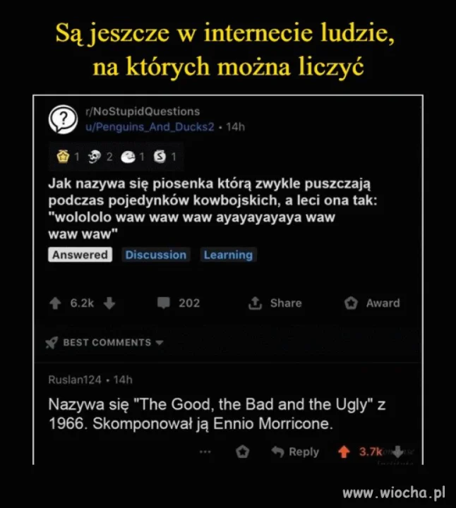 Internet pomoże