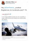 Na pochyłe drzewo
