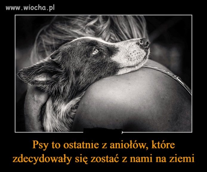 Wierność na całe życie .