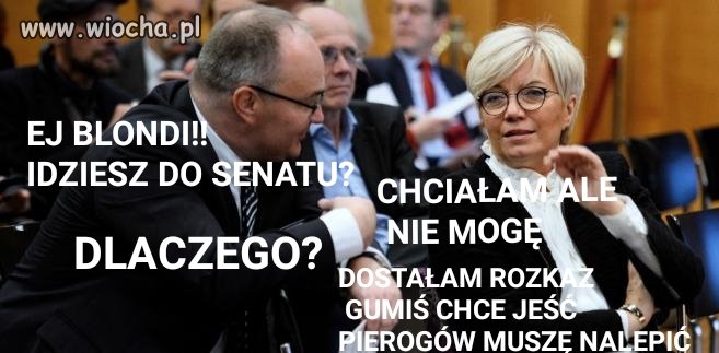 Nie szlaja się byle gdzie i zna swoje miejsce