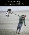 Jaki wiatr? 