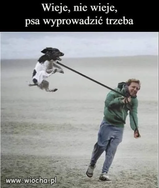 Jaki wiatr? 