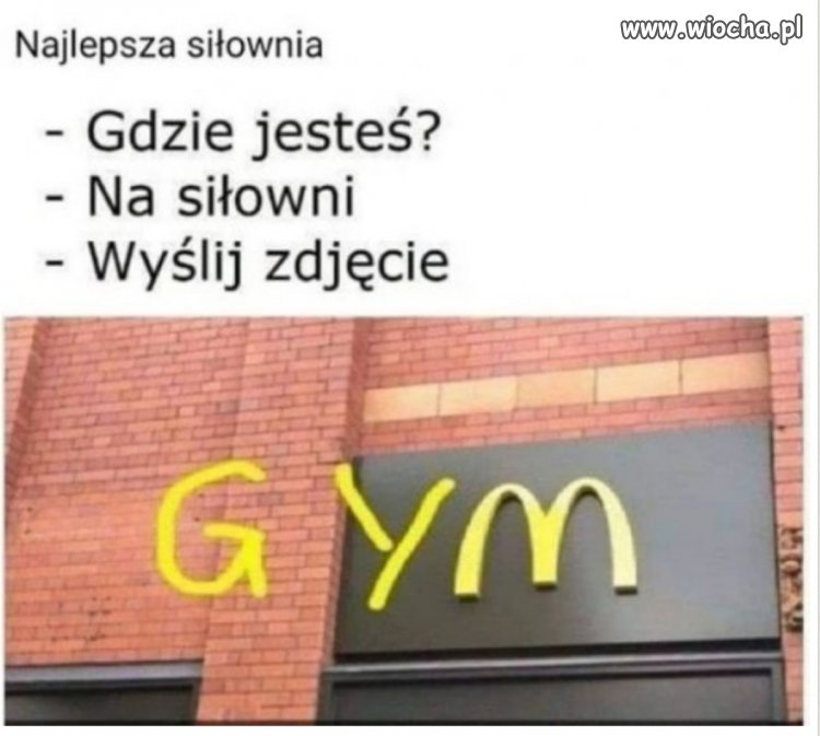 Na siłce