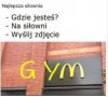 Na siłce