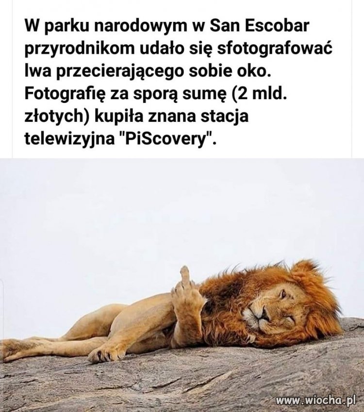 Nietypowa sytuacja